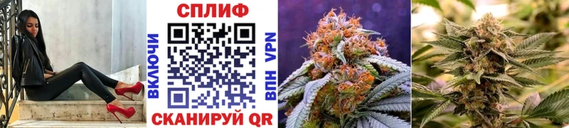 Канабис тримм  omg ссылка  Суворов 